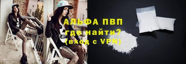 прущие грибы Бронницы