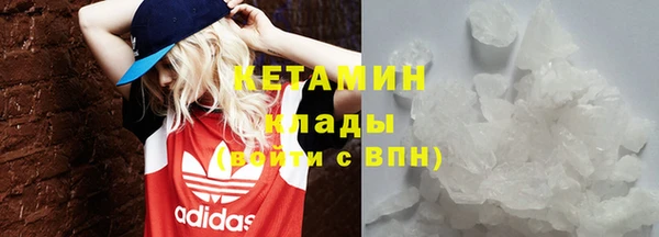 прущие грибы Бронницы