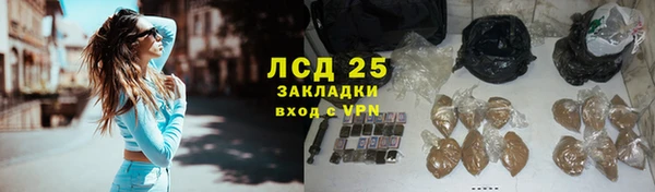 apvp Бородино