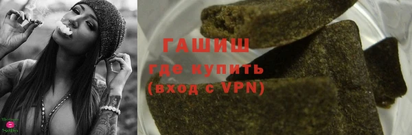 прущие грибы Бронницы