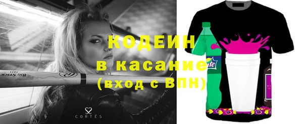 apvp Бородино