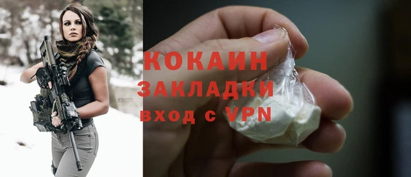 прущие грибы Бронницы