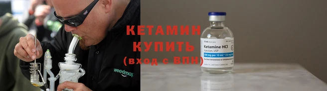 прущие грибы Бронницы