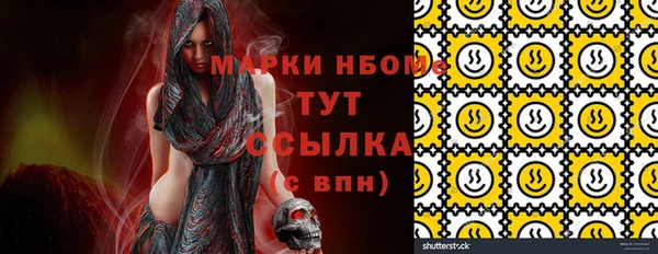 apvp Бородино