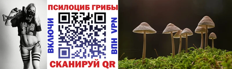 где продают наркотики  Бийск  Галлюциногенные грибы мицелий 